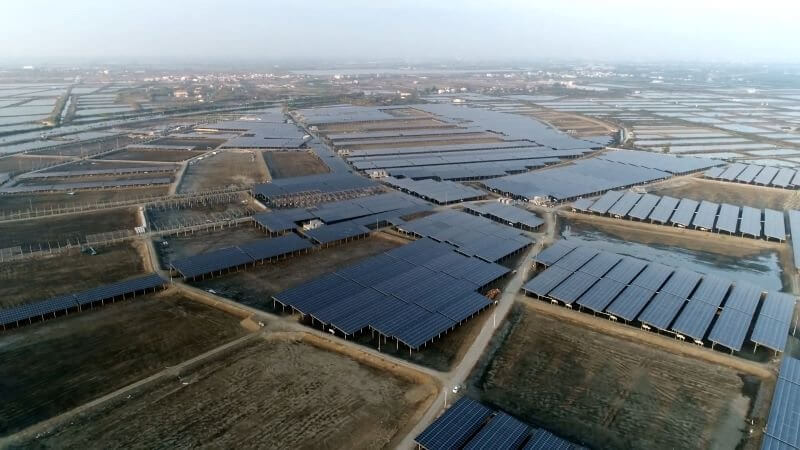 Solar energy companies procurement pic